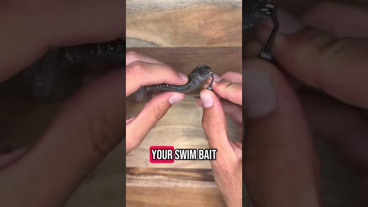 How to Rig a Paddle Tail Swimbait Lure for Bass Fishing #fishingtips #lures #bassfishing #texasrig