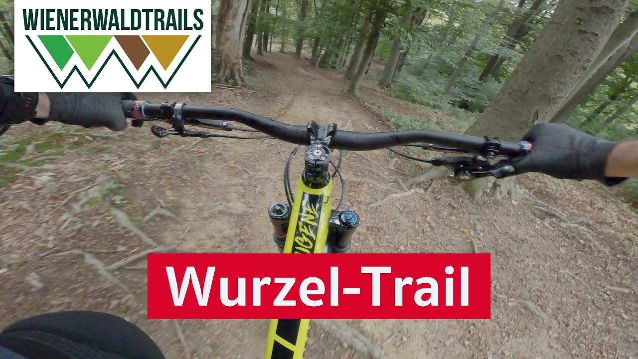 Wurzel Trail | Wienerwald Trails - Mountainbike Singletrail im Wienerwald