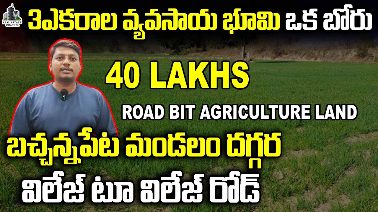 Agriculture Land for Sale | Bachannapet,Jangaon,Alair,Bhuvanagiri | 90 Km to Hyderabad వ్యవసాయ భూమి
