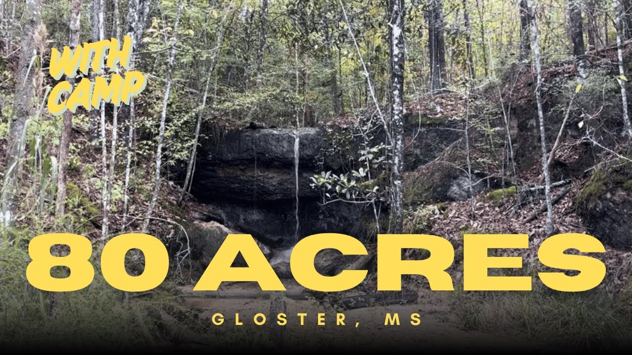 Mississippi Land For Sale - 80 Acres with Camp in Gloster, MS