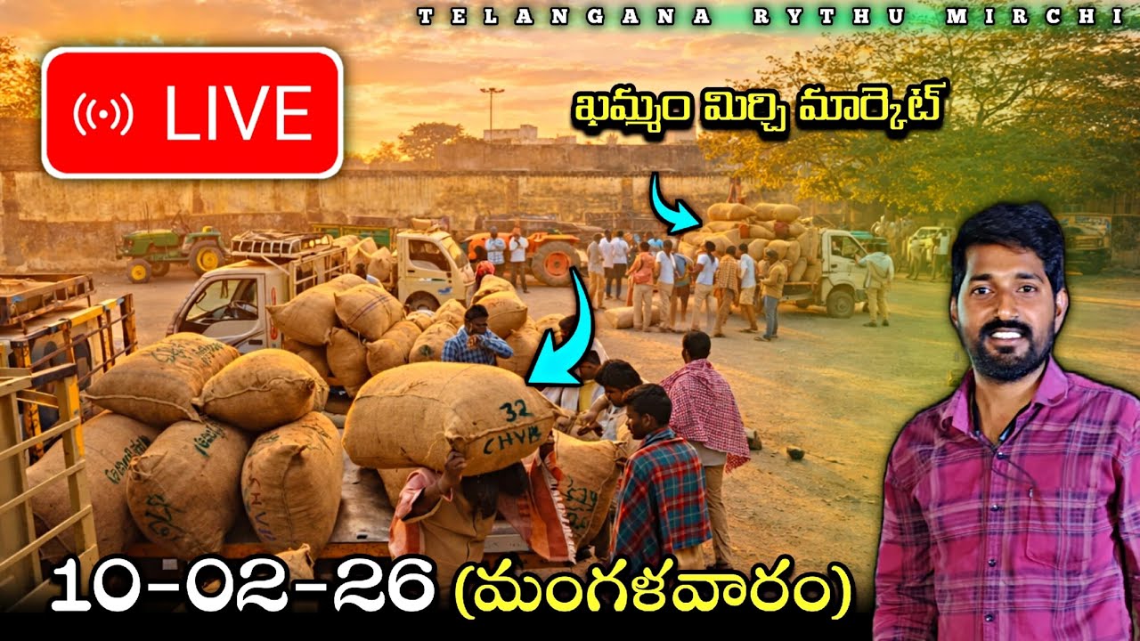 KHAMMAM MIRCHI MARKET AND COTTON TELANGANA RYTHU is live
