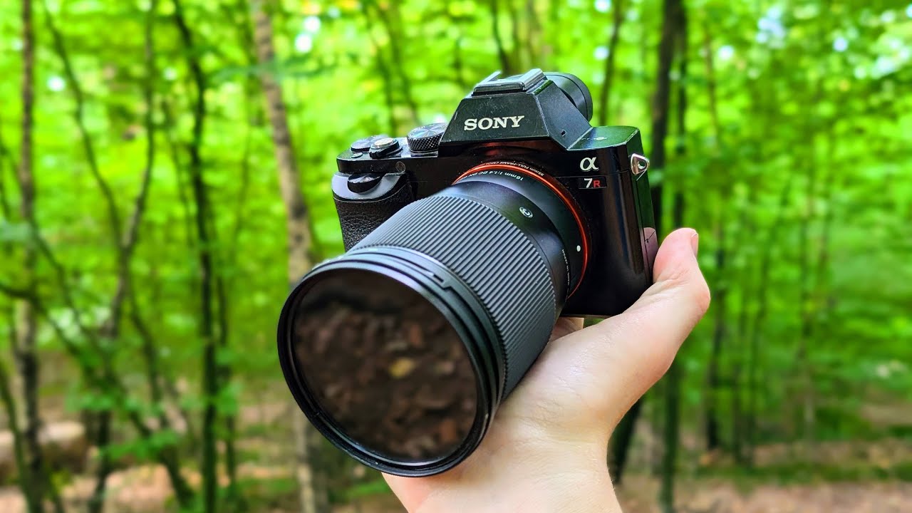 Recenzja Sony A7R w 2025 roku
