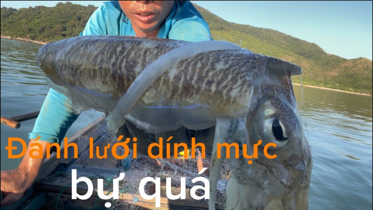 Đánh lưới dính mực rằng bự ngon quá 
