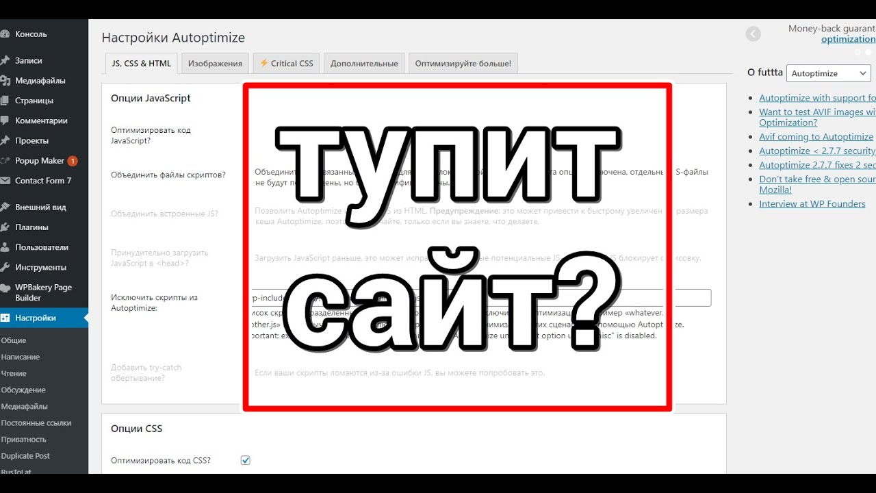 Правильная настройка плагина Autoptimize для WordPress, чтобы ничего не сломать.