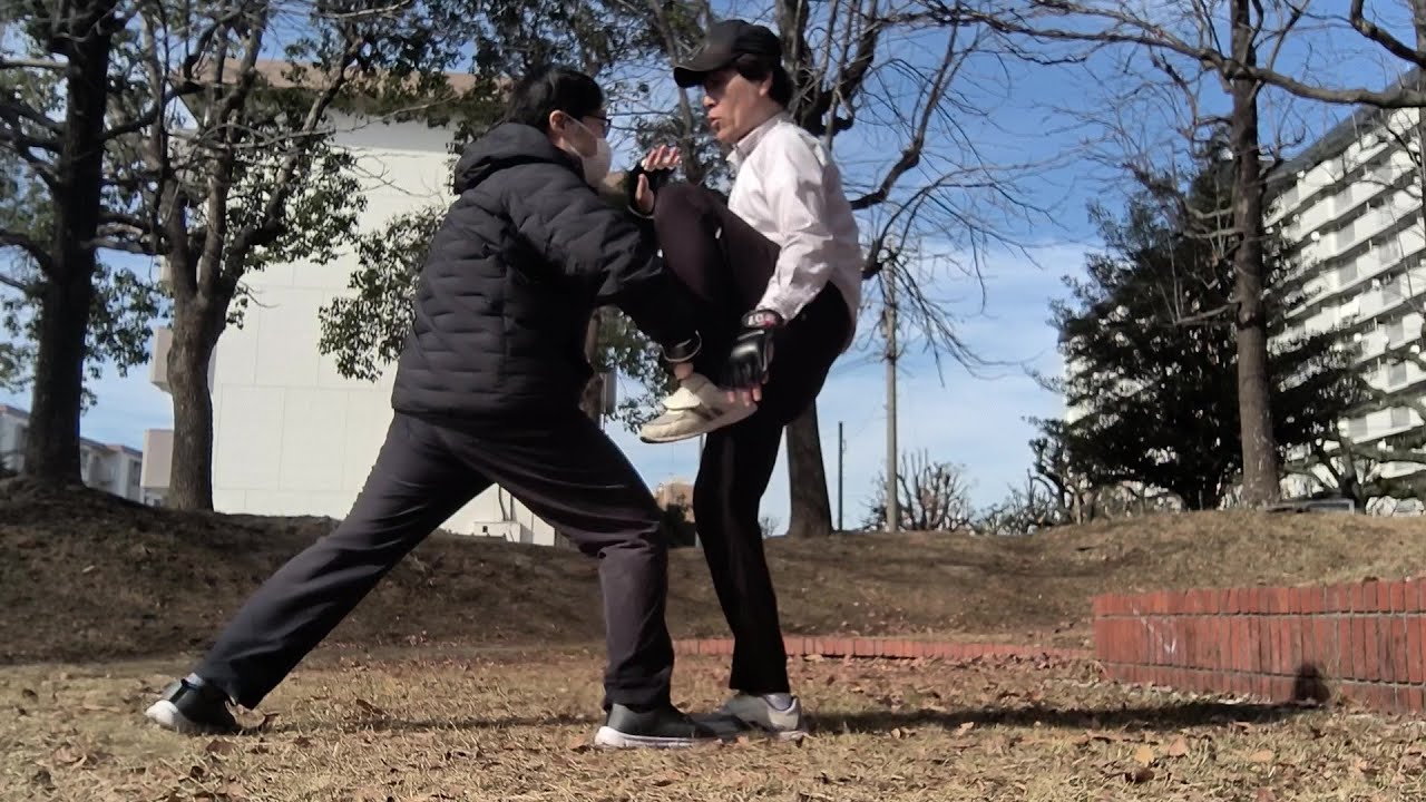 空手・拳法の稽古　216　　― 蹴りの無力化   　Karate & Kungfu step by step training 216　　Kick Neutralization Techniques