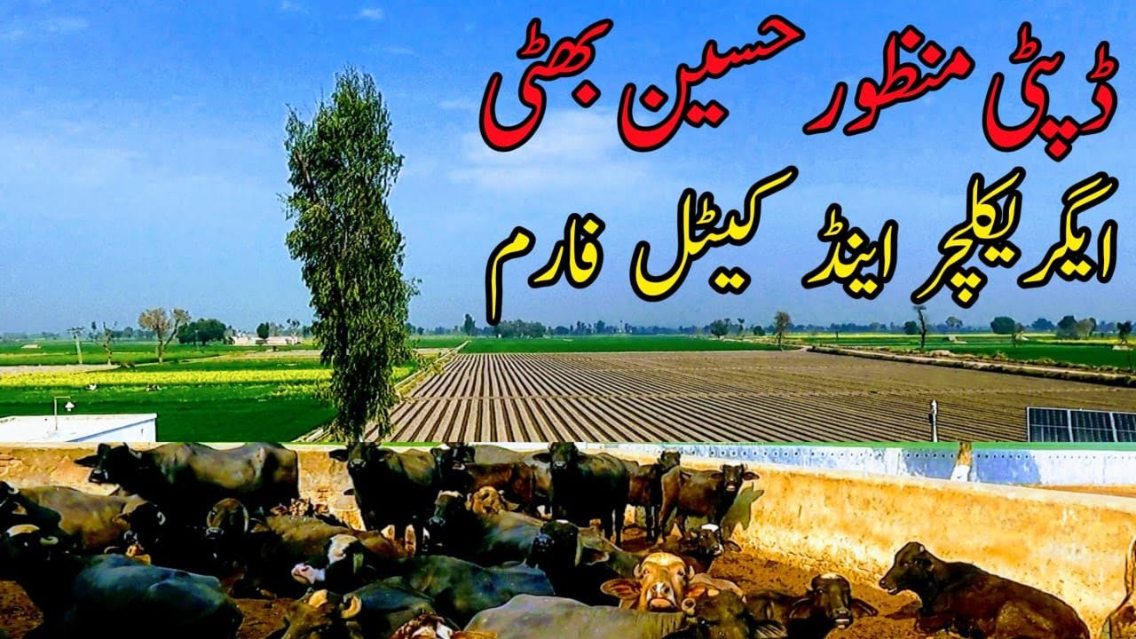 EXPERT Farmers Share Top Modern Farming Techniques