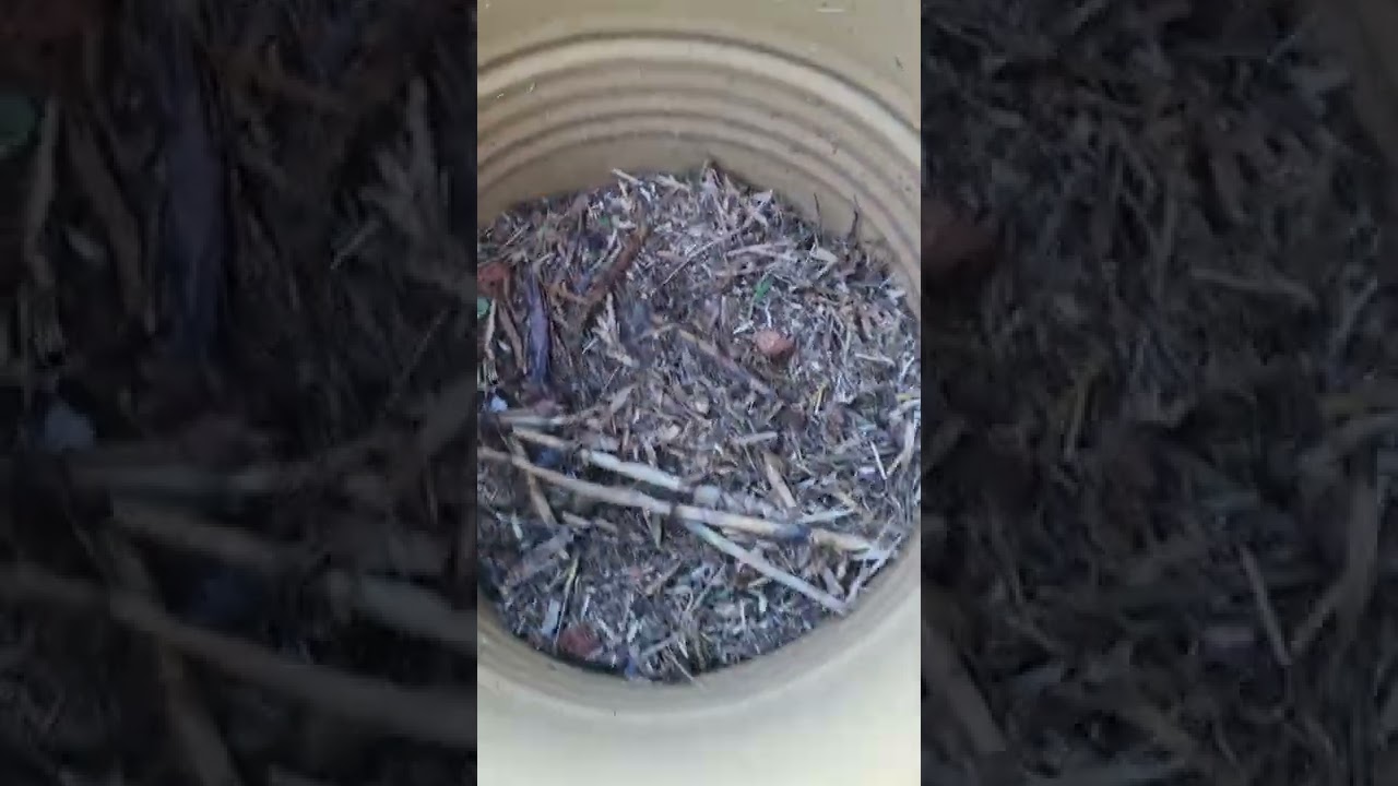 Triturador de Galhos e Folhas Caseiro com um esmeril como motor