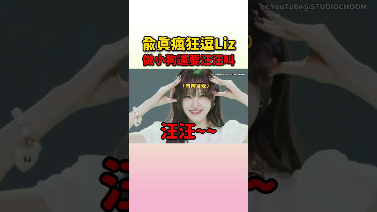 兪眞就是要讓Liz小貓變成小狗XD #ive #yujin #gaeul #rei #wonyoung #liz #leeseo