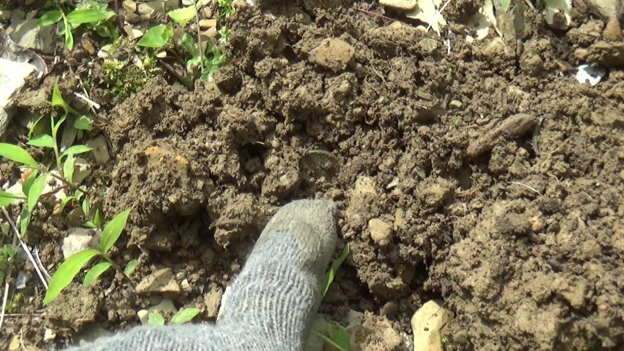 V193 Metal Detecting   Back in the fields