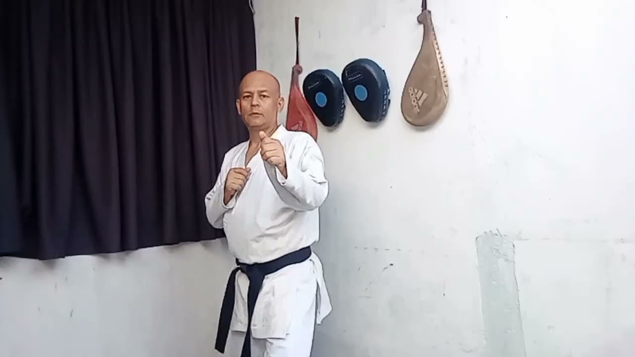 TUTORIAL PARA APRENDER LA PATADA CON GIRO HACIA ATR&Aacute;S DE KARATE.