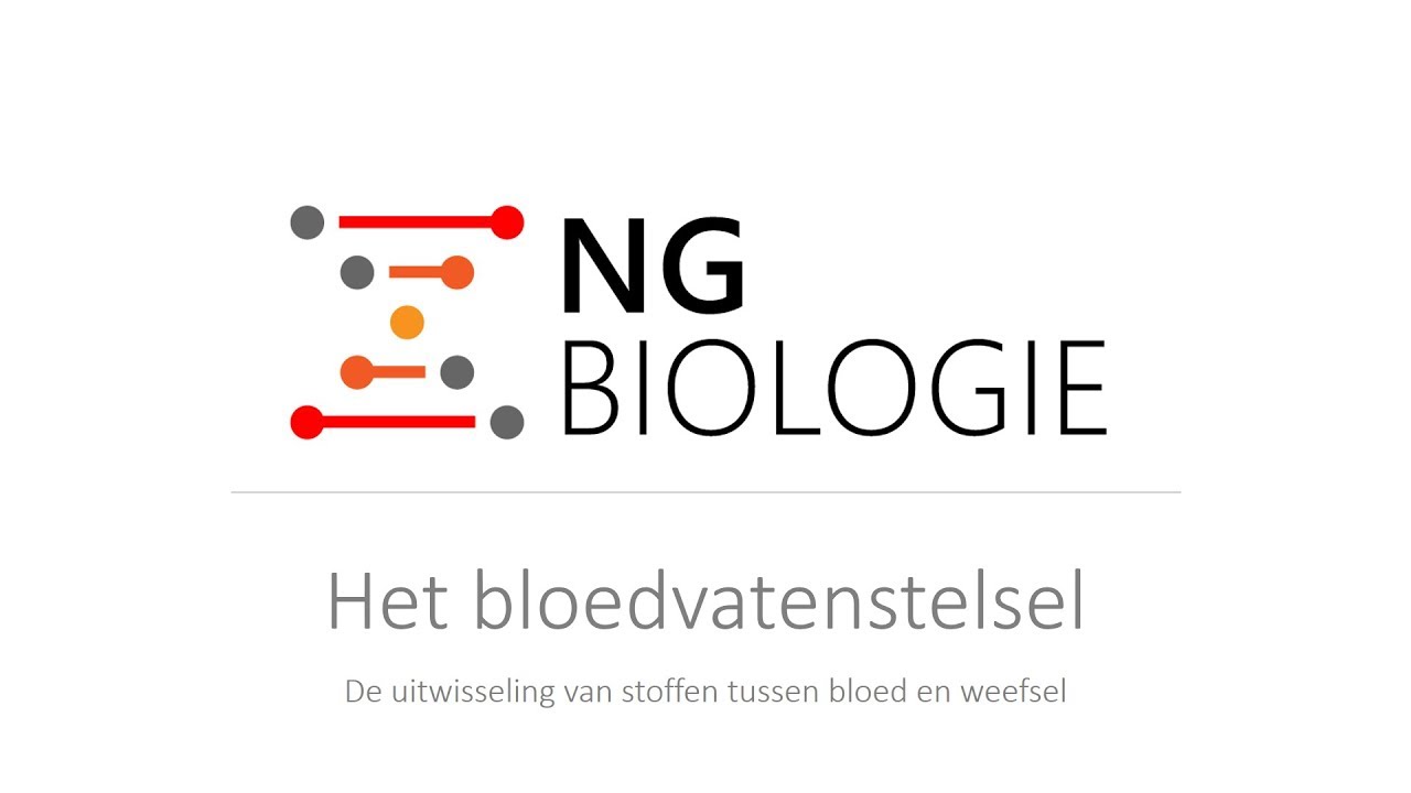 Het bloedvatenstelsel - de uitwisseling van stoffen tussen bloed en weefsel - HAVO/VWO
