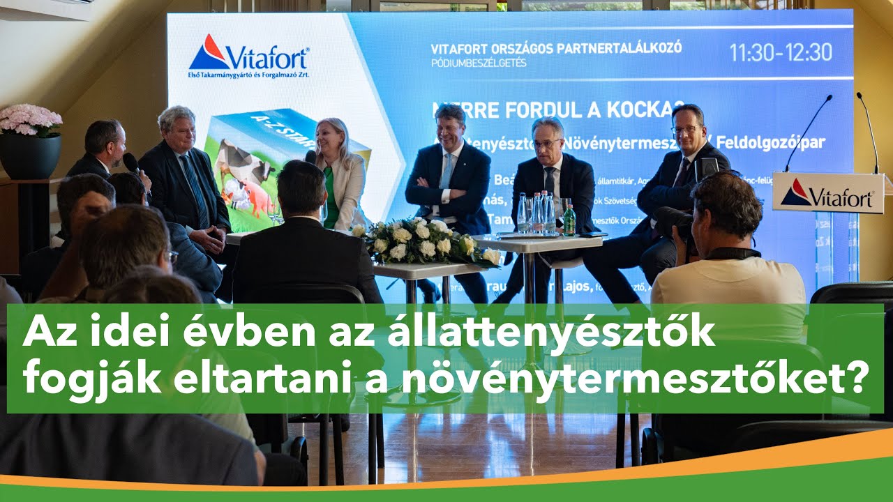 Fordul a kocka – éves partnertalálkozó a Vitafort Zrt-nél | MMG