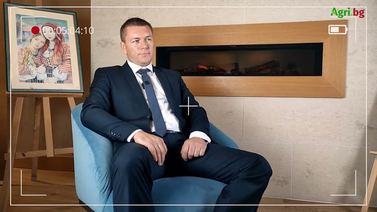 Георги Радев: Потъваме все по-надолу. От големите надежди не остана нищо
