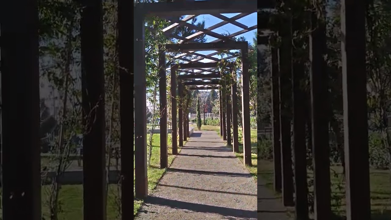 Podgoricki Park is the BEST place to relax. Lovely and tranquil with views of the river.