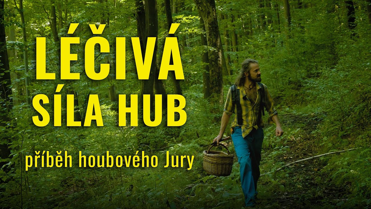Léčivá síla hub - Jirka Šťásek