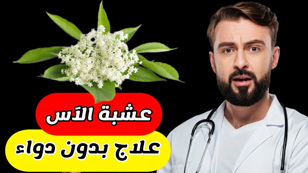 ما لا تعلمه عن عشبة الآس!!&hellip; فوائد عشبة الآس ربما سوف تعرفها لأول مرة؟؟