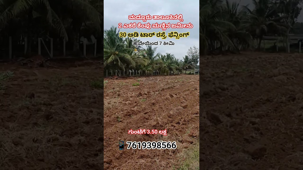 2 acer Farm land for sale at Maddur 📱7619398566 #99acres #farmland