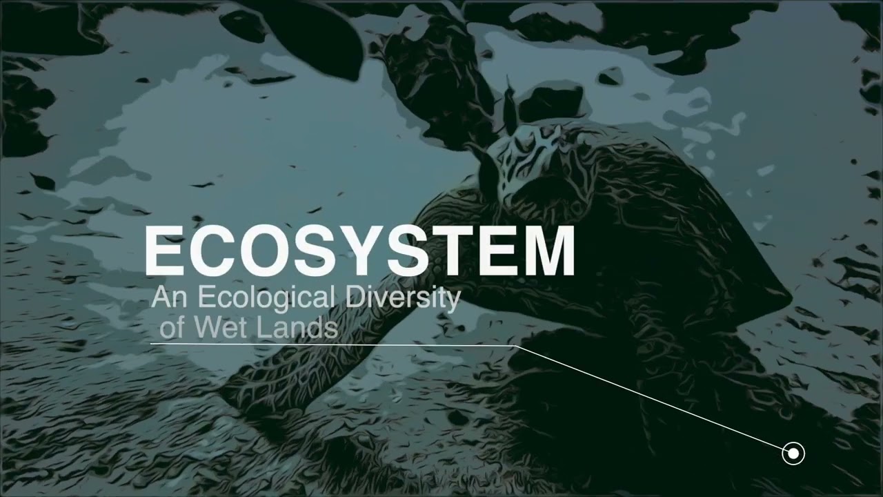 AMCOW - Groundwater (2023)