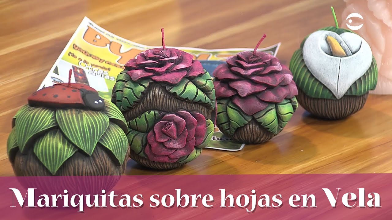 Aprenda y Venda - Mariquita sobre hojas en Vela