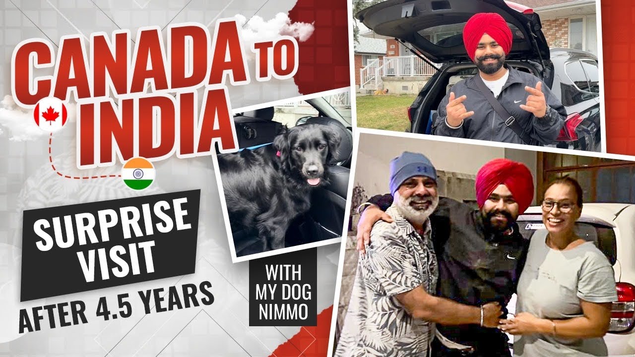 НЕОЖИДАННЫЙ ВИЗИТ ИЗ КАНАДЫ 🇨🇦 В ИНДИЮ 🇮🇳 с моей СОБАКОЙ, ЧЕРЕЗ 4,5 ГОДА ||🥹ЭМОЦИОНАЛЬНОЕ ВИДЕО, ...