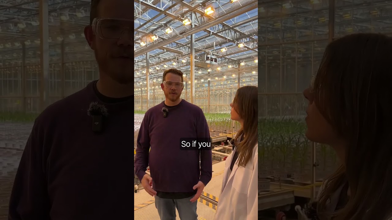 @labskillsacademy  showcases the Bayer Preceon™ Smart Corn System