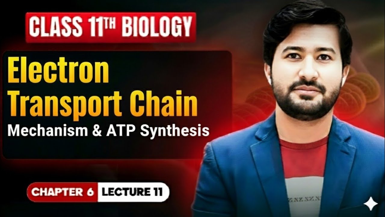 Electron Transport Chain Made Easy | Class 11 Biology & MDCAT Must Watch!