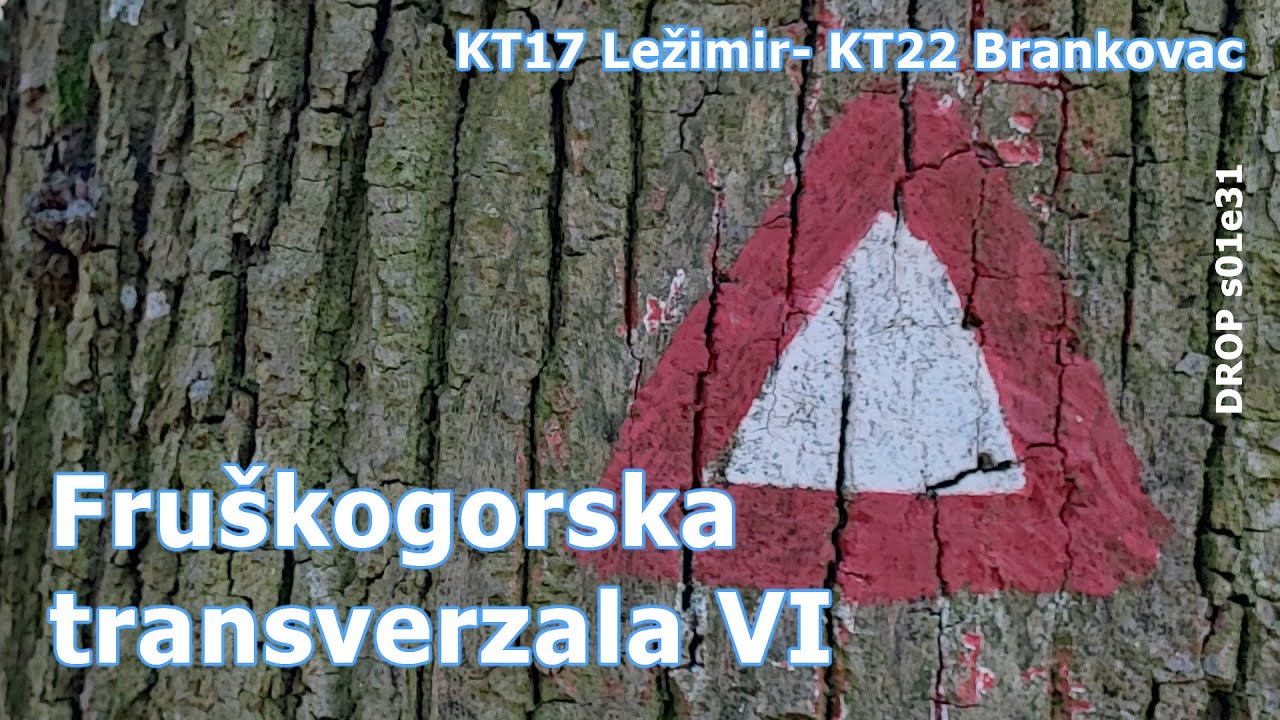Fruškogorska transverzala 6/8 - Ležimir, Jabuka, manastiri Bešenovo, Mala Remeta i Jazak, Brankovac