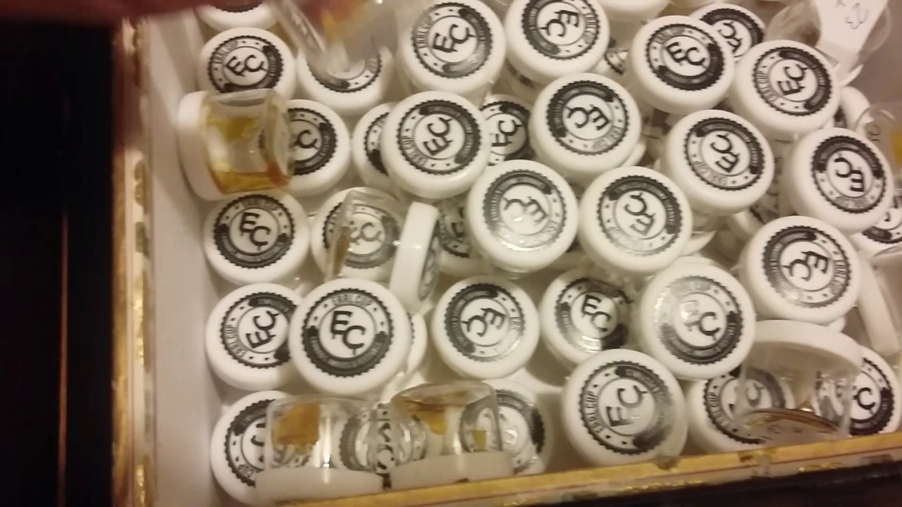 710 Degree Cup Medical Cannabis Concentrate Judging