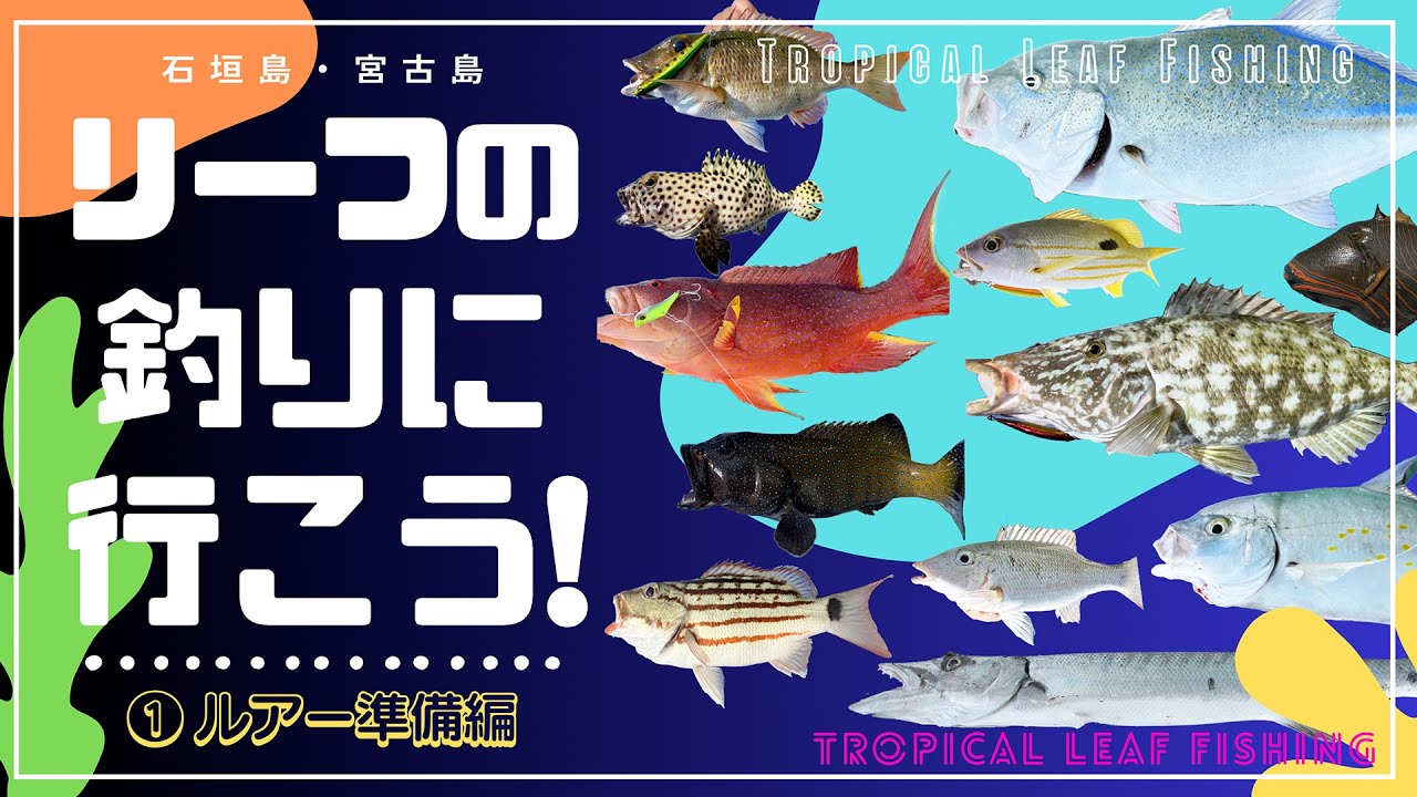 トロピカルフィッシュやみつき必至のリーフ釣り!釣果UPの実績ルアーをご紹介【石垣宮古釣り】