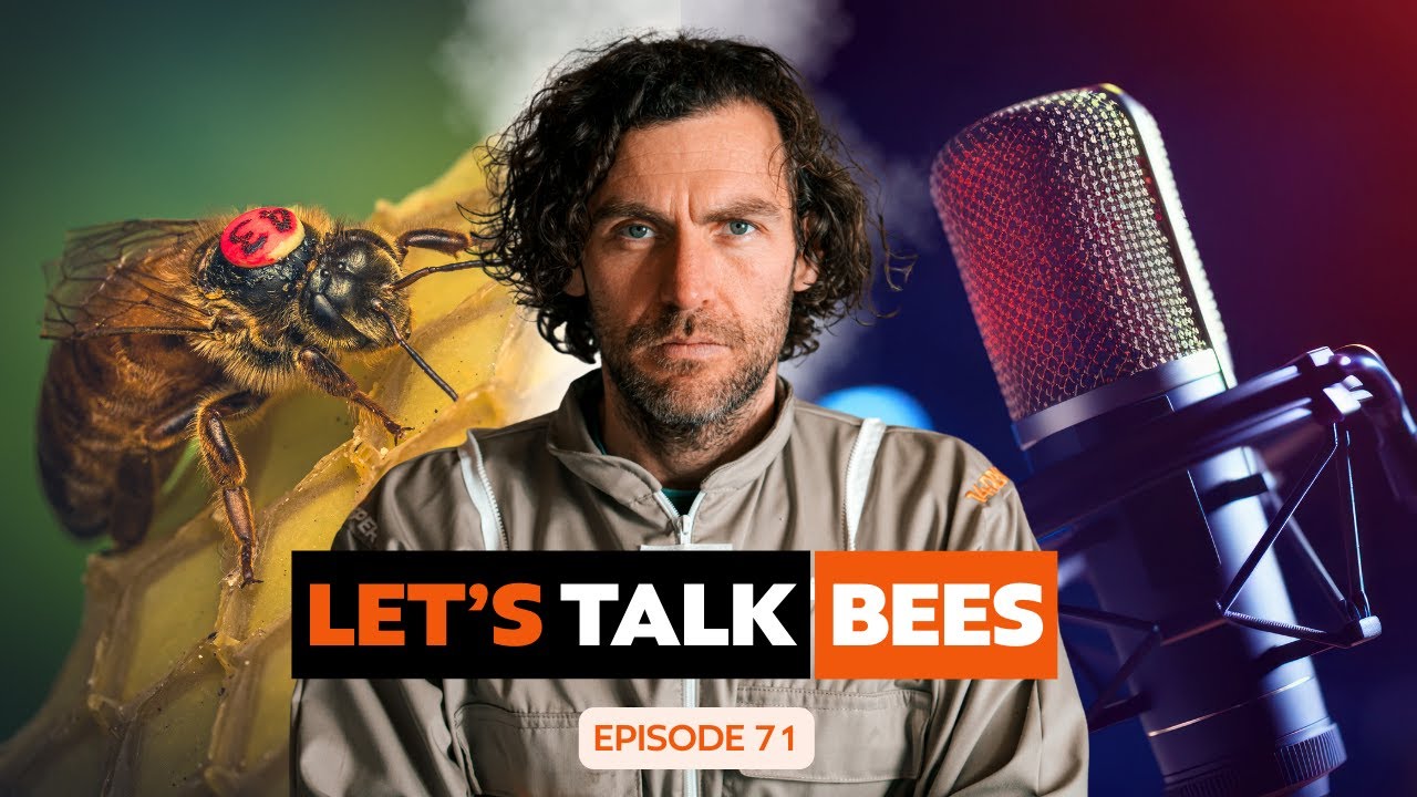 Black Mountain Honey: Let's Talk Bees with Laurence Edwards - Episode 71