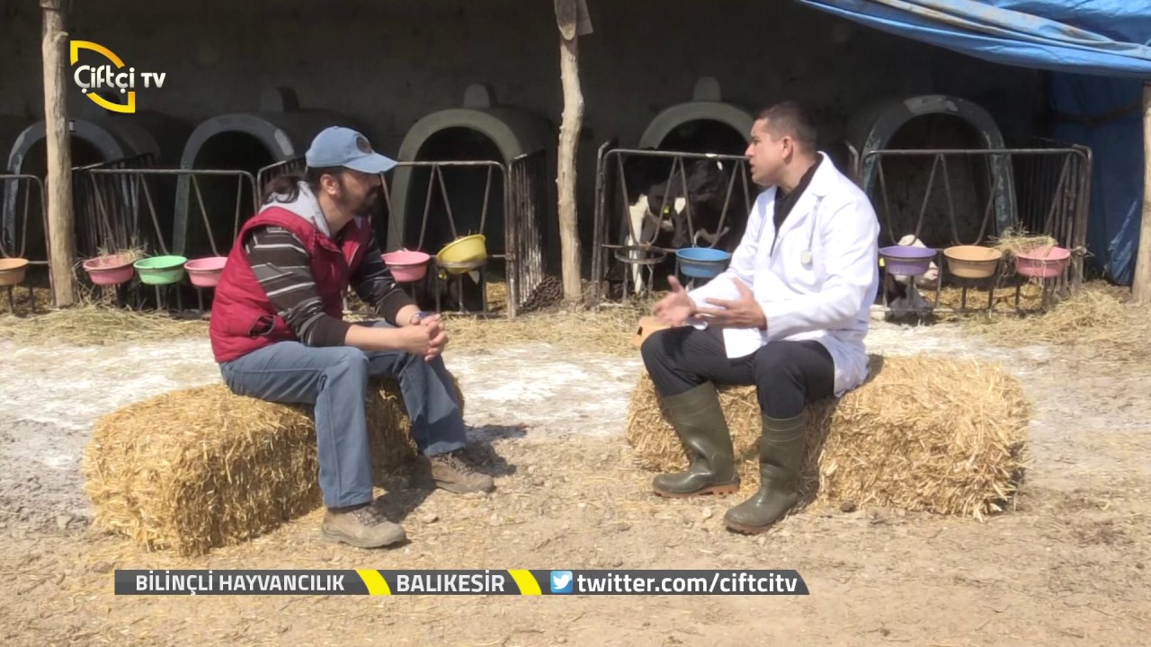Bilinçli Hayvancılık - Hayvan Yetiştiricilerimiz Hangi Konularda Hataya Düşüyor? / Balıkesir