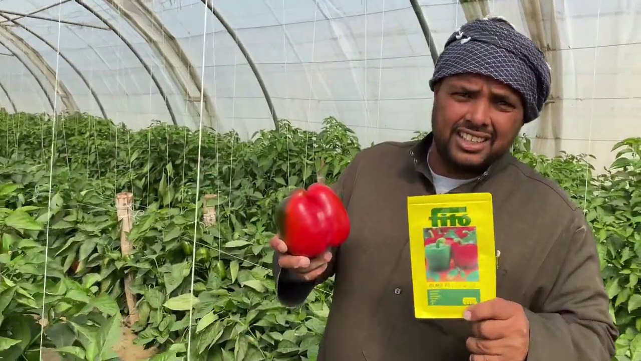 المزارع السعيد في المنطقة الشرقية