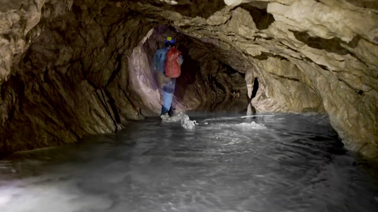 世界で最も高価な蜂蜜――センタウリ・ハニー（Centauri Honey）。がんを殺す特性を持つ。