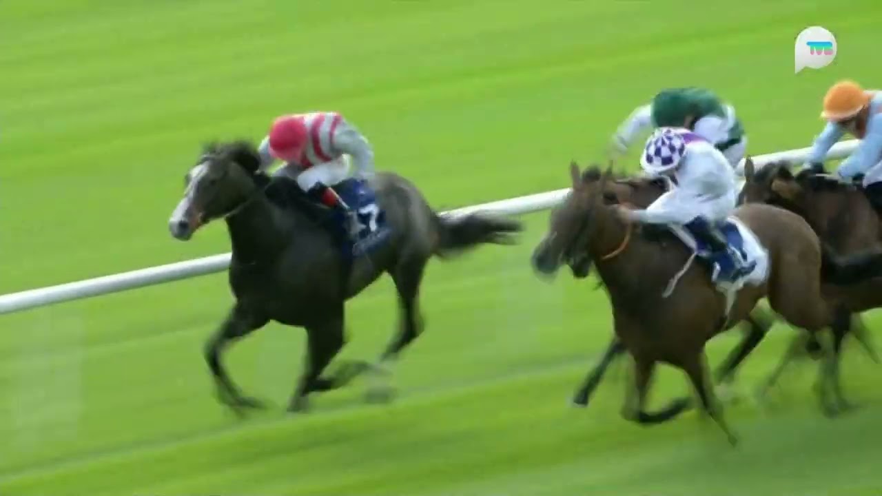 2025 Irish European Breeders Fund Ragusa Handicap - Fleetfoot (馬達蹄) - D.McDonogh (23倍)