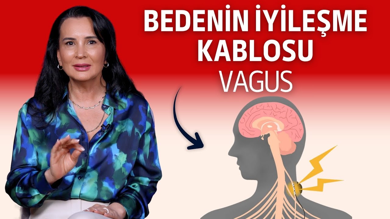 Bedenin iyileşme kablosu: Vagus I Dr. Nilüfer Yıldırım