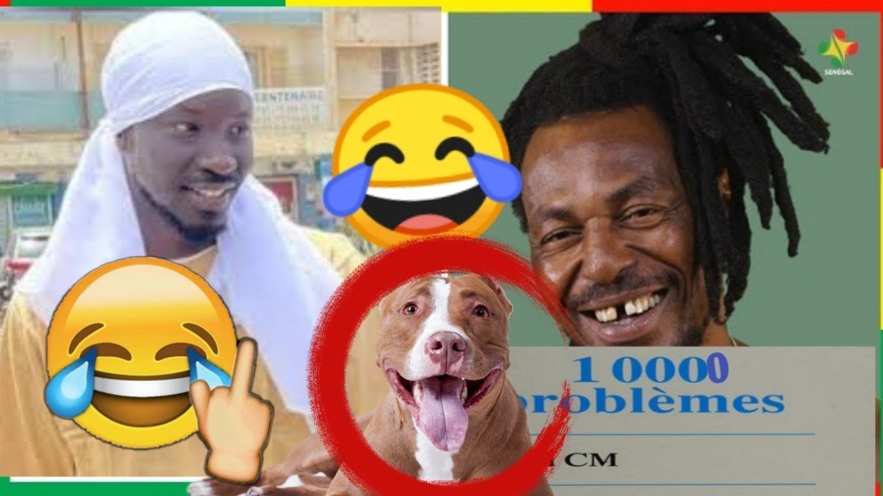 Lou Nékh 😂10000 Problème (VS) Karim Gueye   Regardez Vidéo 😂😂🇬🇲🐕‍🦺