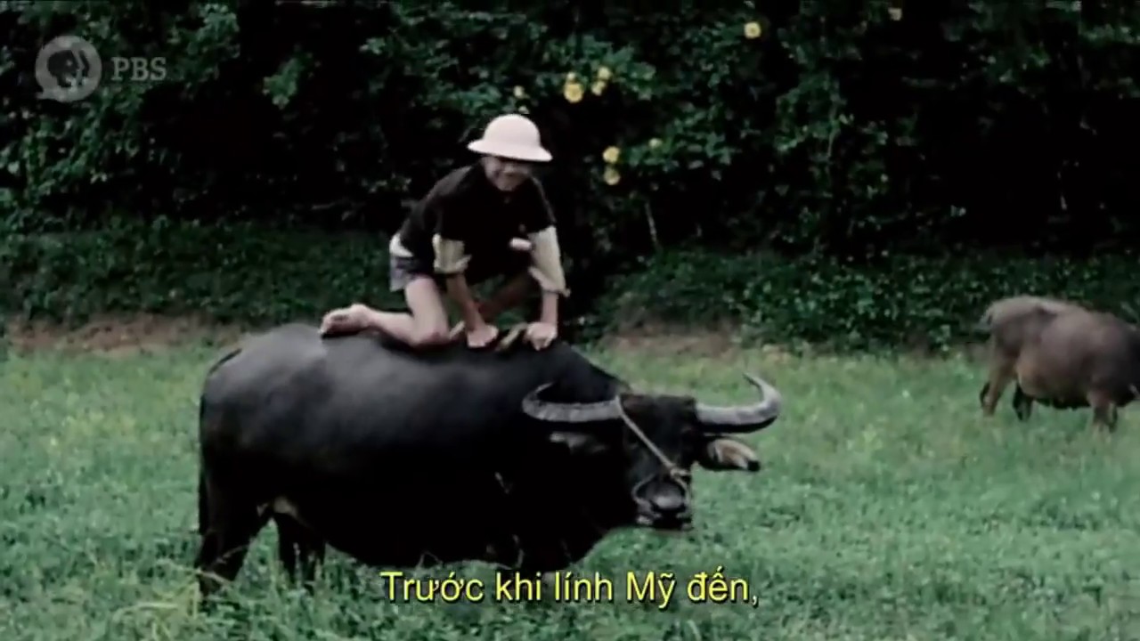 South Vietnam (pre 1975)'s corruption