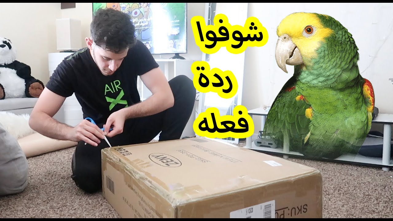 اشتريت قفص ثاني لببغائي ميزو للطلعات والحدايق والتنقل بس فخم وكبير..
