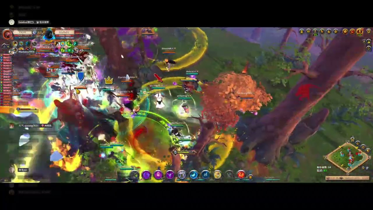 2025/12/12 Albion Online 三方時停
