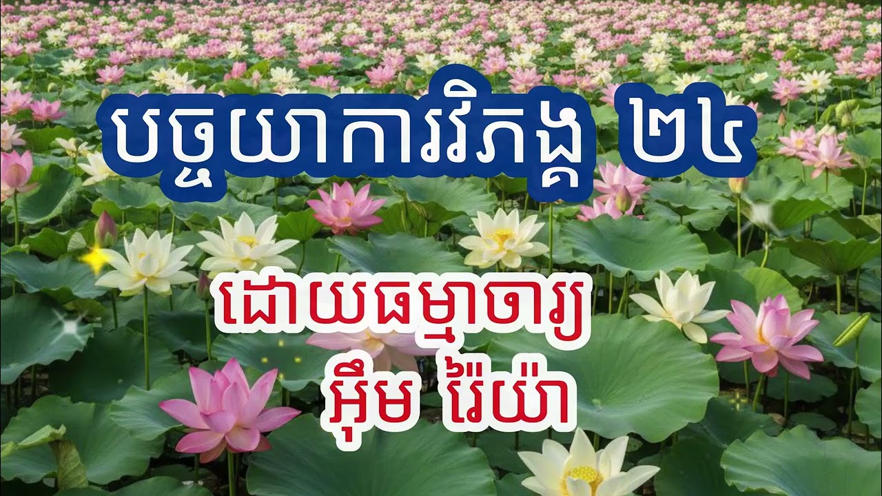 បច្ចយាការវិភង្គ ២៤ ឬបដិច្ចសមុប្បាទធម៌ សម្តែងដោយ ធម្មាចារ្យ អ៊ឹម រ៉ៃយ៉ា​ #ធម៌ទេសនា #ធម៌អប់រំជីវិត