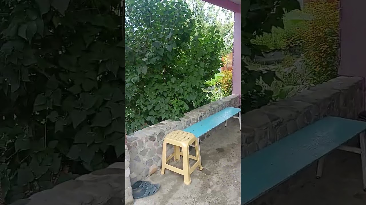 Hezre kendi g&uuml;nl&uuml;k kirayə ev 🏡