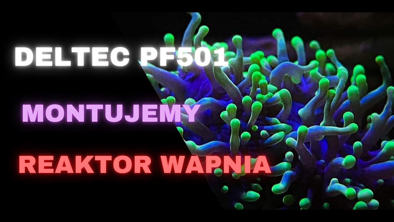 Reef Design | Budowa fragtanków | Reaktory wapnia Deltec PF501 | odc. 11