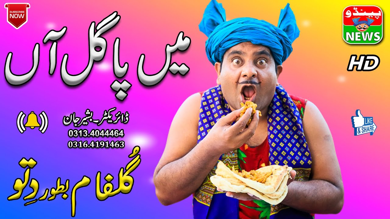 #FunnyVideo | New Funny Videos | Main Pagal Haan | Pendu News