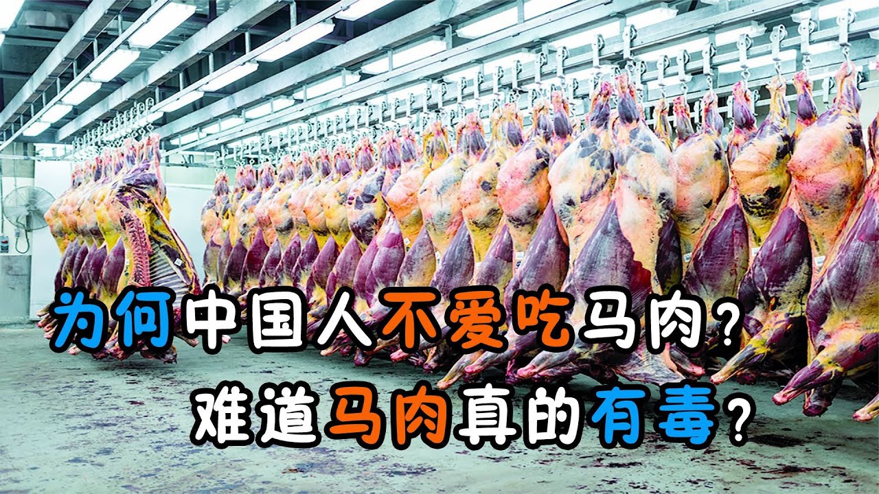 為何中國人不愛吃馬肉？難道馬肉真的有毒？看完長見識了
