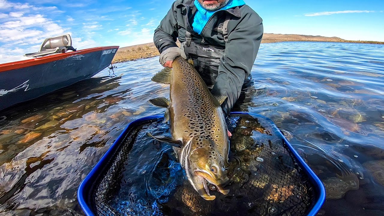 Tremendo d&iacute;a de pesca en el R&iacute;o Limay