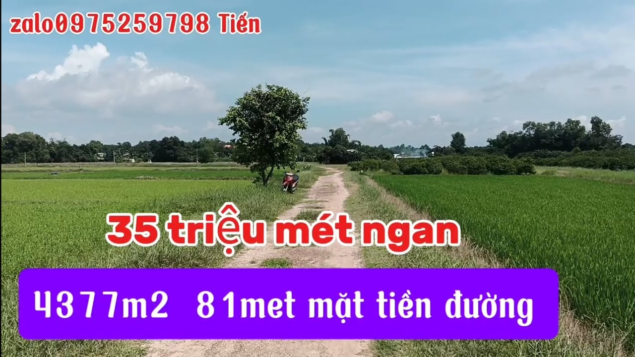 46💕Đất Lập Vườn Làm Khu Nghĩ Mat Chỉ 35 Triệu Đc Ấp Bàu Tép Xã Bến Cầu 