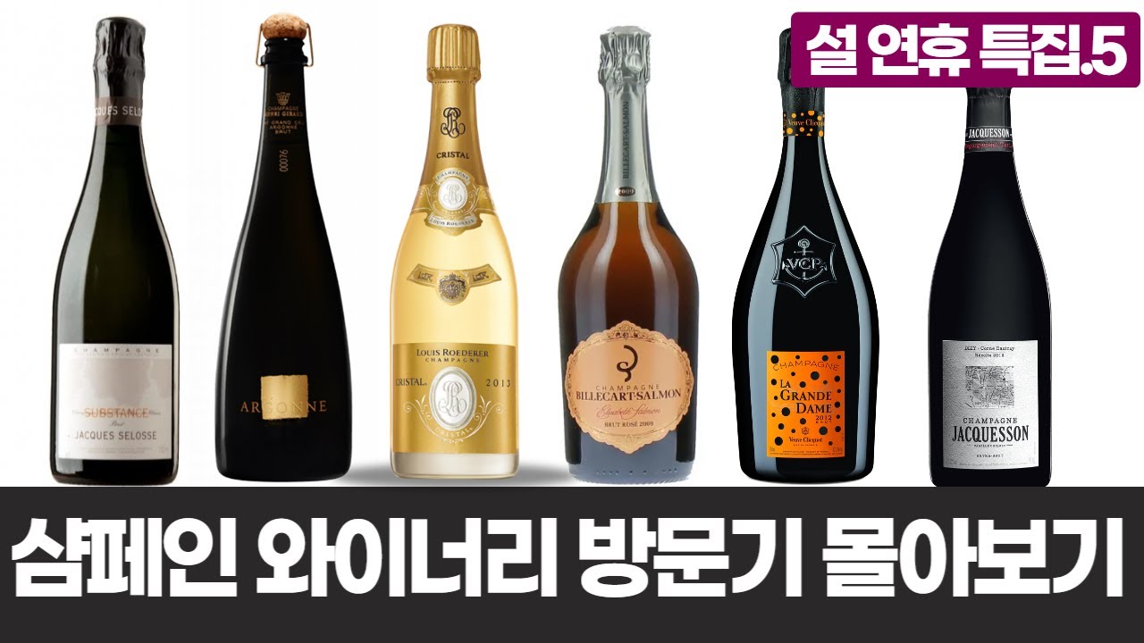 Champagne TOP Winery Visit Full Version 👀