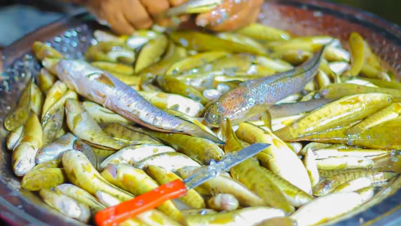 Snakehead Fish Curry गरई मछली बनाने का स्टिक तरिका/gare machhli banane ka satik tarika /gare fish