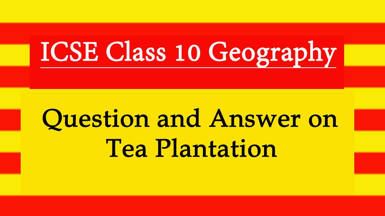 Question and Answer on tea plantation l Tea plantation Important Question
