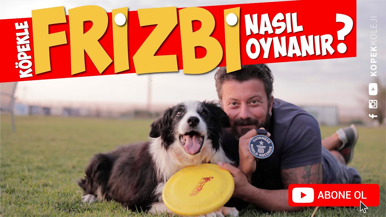 Köpekle Frizbi Nasıl Oynanır